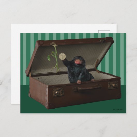 Pickett & Teddy in Briefcase Briefkaart (Voorkant / Achterkant)