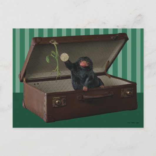 Pickett & Teddy in Briefcase Briefkaart (Voorkant)