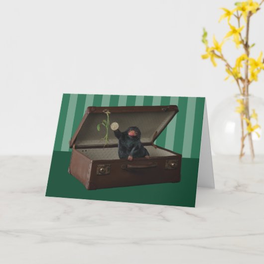 Pickett & Teddy in Briefcase Kaart (Gele Bloem)