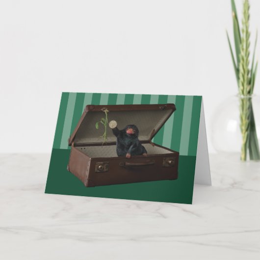 Pickett & Teddy in Briefcase Kaart (Voorkant)