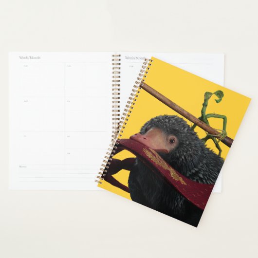 Pickett & Teddy With Wand and Tie Planner (Display)