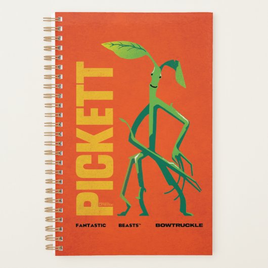 Pickett Vintage Graphic Planner (Voorkant)