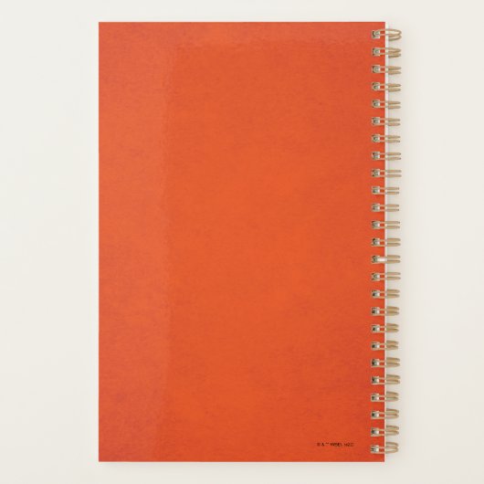 Pickett Vintage Graphic Planner (Achterkant)