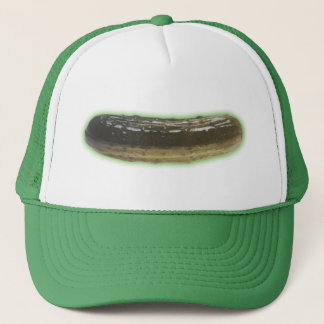 Pickle pet