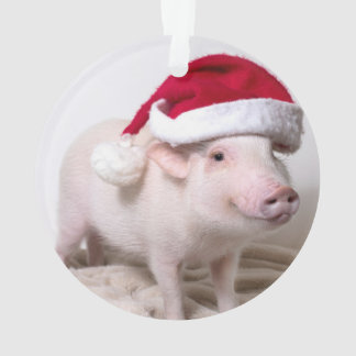 Pickle the Mini Pig-kerstversiering Ornament