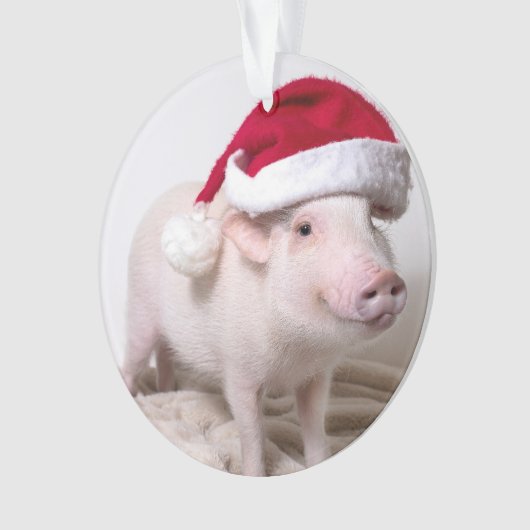 Pickle the Mini Pig-kerstversiering Ornament (voorkant)