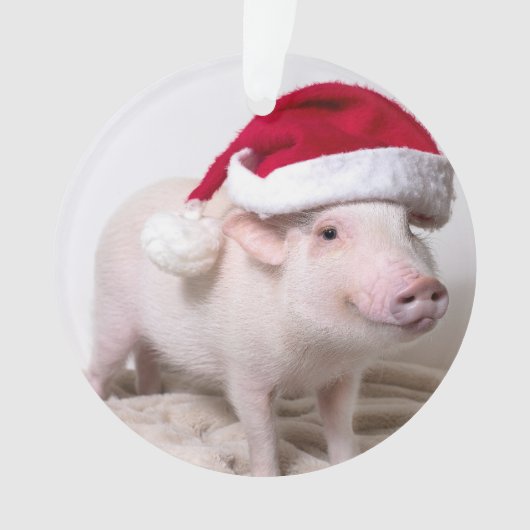 Pickle the Mini Pig-kerstversiering Ornament (voorkant)
