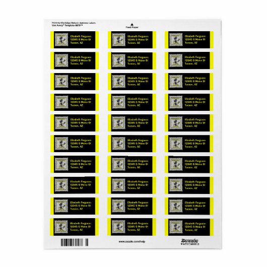Pickleball Fanatic Etiket (Full Sheet)