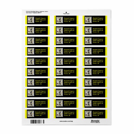 Pickleball Fearless Fun Etiket (Full Sheet)