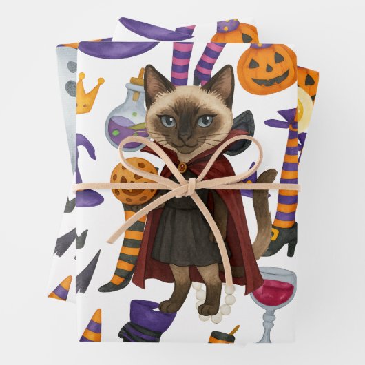 Pickleball Halloween feest voor kattenliefhebbers Inpakpapier Vel (In situ)