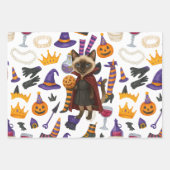 Pickleball Halloween feest voor kattenliefhebbers Inpakpapier Vel (Voorkant)