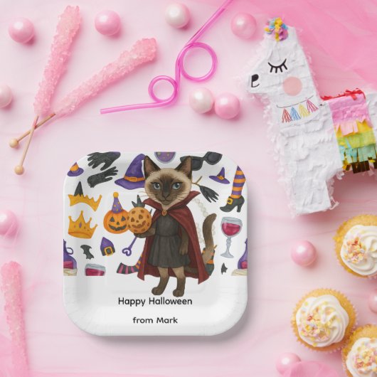 Pickleball Halloween feest voor kattenliefhebbers Papieren Bordje (Feest)