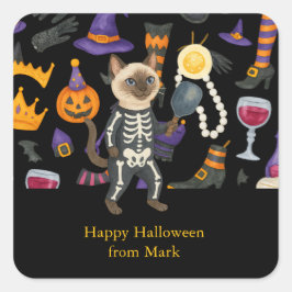 Pickleball Halloween feest voor kattenliefhebbers Vierkante Sticker