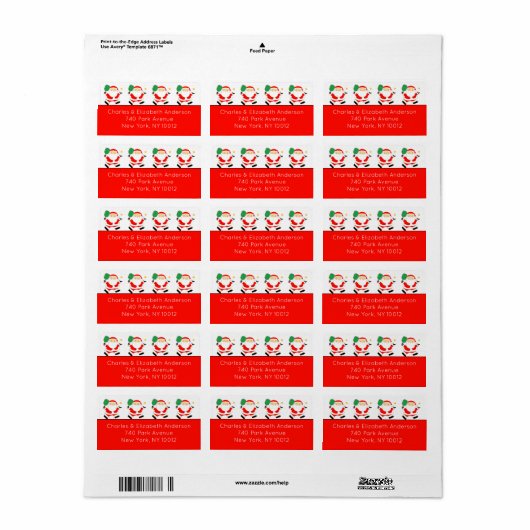 Pickleball kerst etiket (Full Sheet)