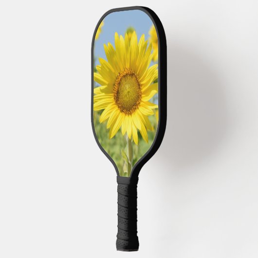 Pickleball Paddle (Links)