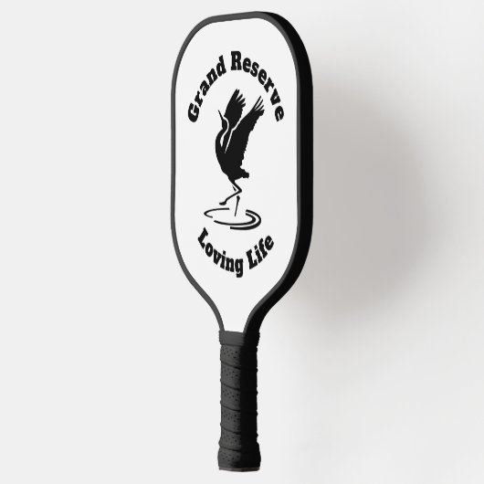Pickleball Paddle (Links)