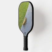 Pickleball Paddle (Links)
