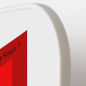 Pickleball Paddle bloeddrukgrafiek regenboog (Links Detail)