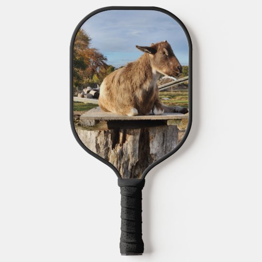 Pickleball Paddle "Goat" (Voorkant)