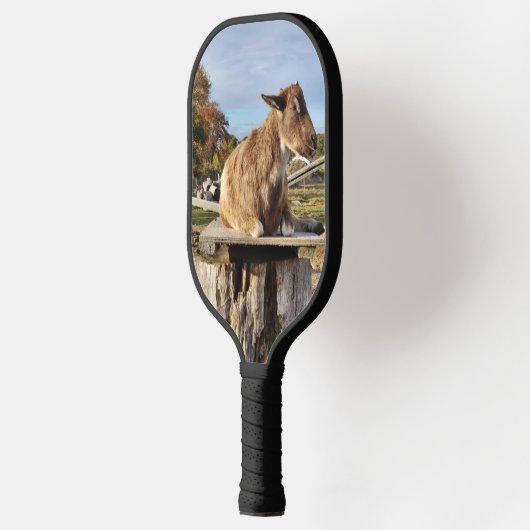 Pickleball Paddle "Goat" (Links)