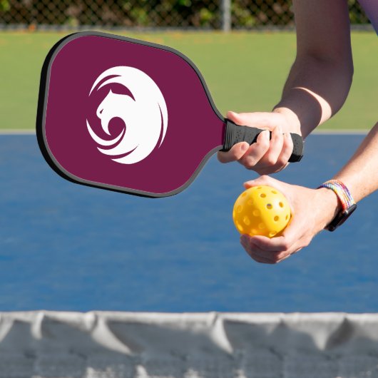 Pickleball Paddle met vlag van Phoenix, Verenigde  (Insitu)