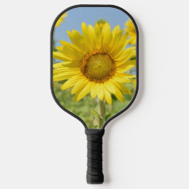 Pickleball-paddle Pickleball Paddle