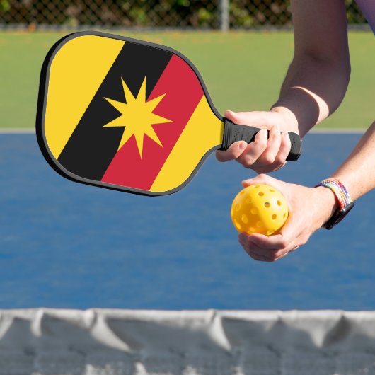 Pickleball-paddle Pickleball Paddle (Insitu)