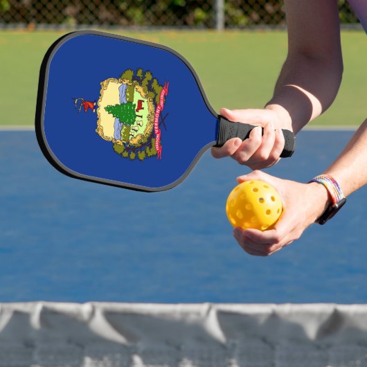 Pickleball-paddle, vlag van de staat Vermont Pickleball Paddle (Insitu)