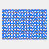 Pickleball Paddles, Oranje Pickleball Balls, blauw Inpakpapier Vel (Voorkant 3)