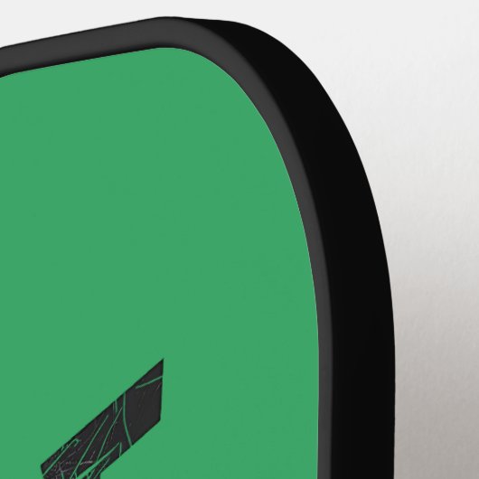 pickleball punisher pickleball paddle (Links Detail)