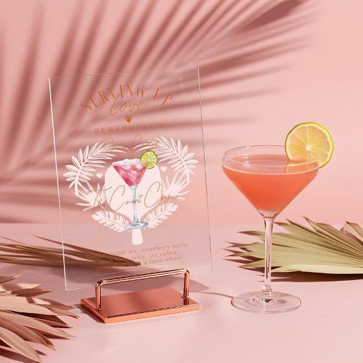 Pickleball Vrijgezellenfeest Waterverf Cocktail Dr Acryl Bord