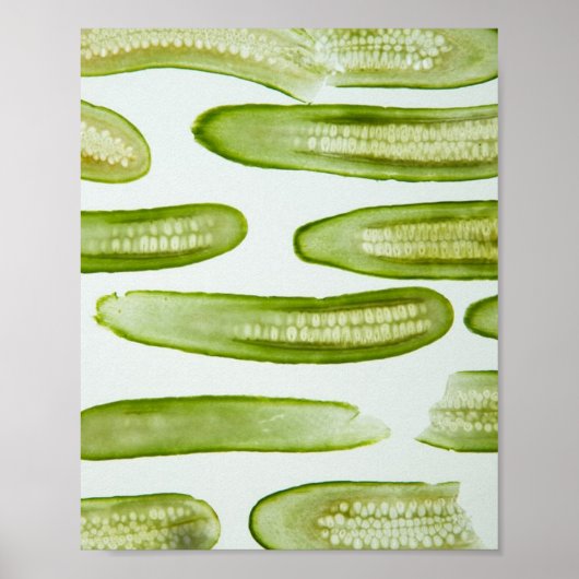 Pickles Green Poster (Voorkant)