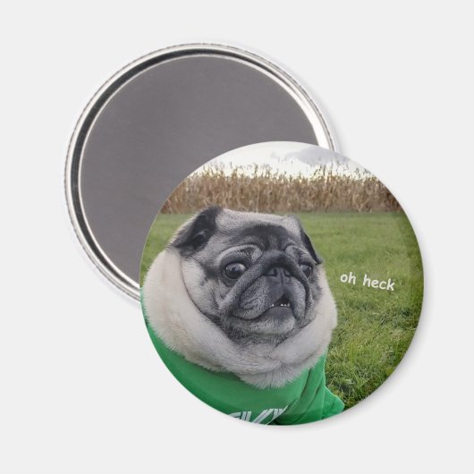 Pickles Heck Magnet (Voorkant / Achterkant)