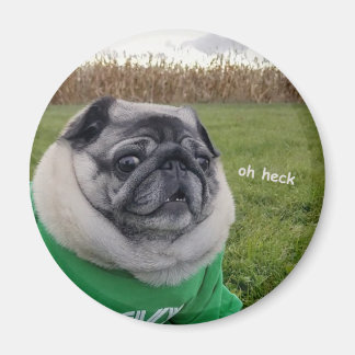 Pickles Heck Magnet