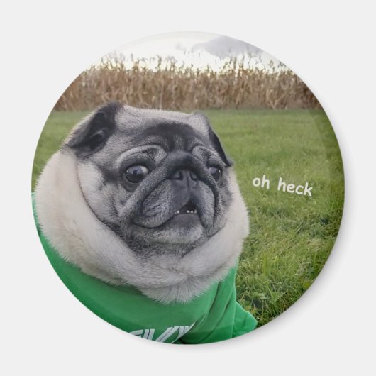 Pickles Heck Magnet (Voorkant)