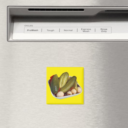 Pickles Magneet (Insitu (Vaatwasser))