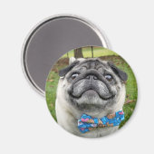 Pickles Magnet (Voorkant / Achterkant)