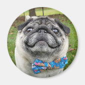 Pickles Magnet (Voorkant)