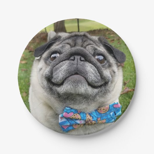 Pickles Paper Plate Papieren Bordje (Voorkant)