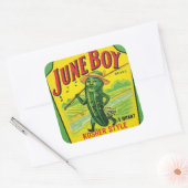 Pickles voedseletiket Vierkante Sticker (Envelop)