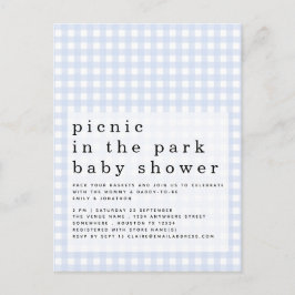 Picknick in Park Baby shower Blue Gingham Uitnodig Briefkaart