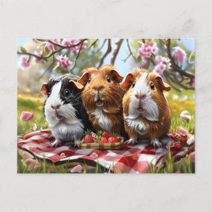 Picknick met cavia's briefkaart