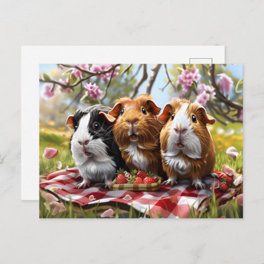 Picknick met cavia's briefkaart (Voorkant / Achterkant)