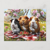 Picknick met cavia's briefkaart (Voorkant)