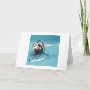 Picknicken met een kleine hond kaart