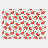 Picnic Ant Peking Watermelon Polka Dot Striped Inpakpapier Vel (Voorkant)