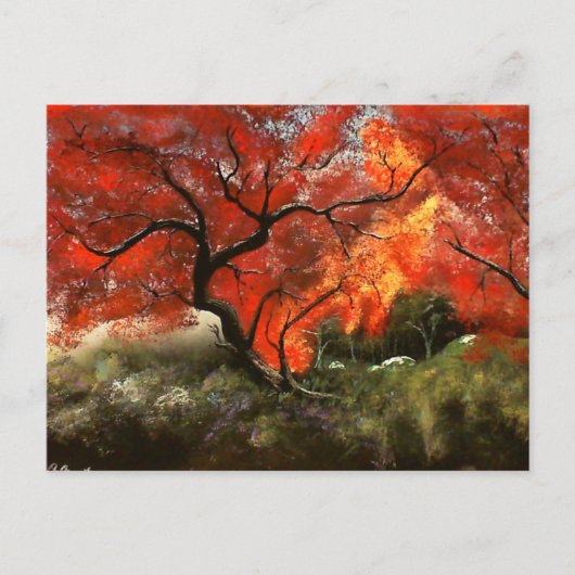 Picnic Briefkaart (Voorkant)