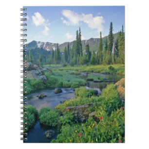Picnic Creek in de Jewel Basin van de Swan Notitieboek