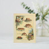  Picnic Foods Chart uit 1902 Briefkaart (Staand voorkant)