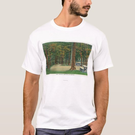 Picnic Uitzicht Saratoga-slagveld T-shirt (Voorkant)